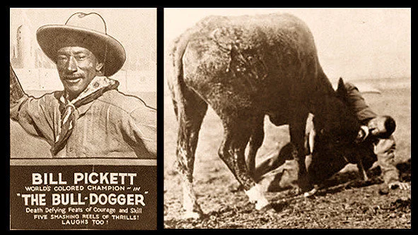Bill Pickett — The Bull Dogger
